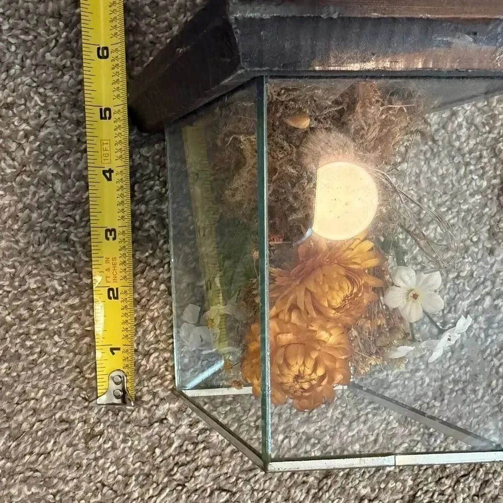 Leonard Creations Dried Flower Arrangement 6” Tall Glass Box Wood Terrarium